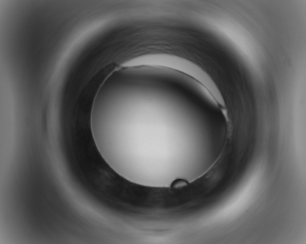 X0000096720190200802191536