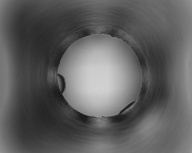 X0000096720191200802191536