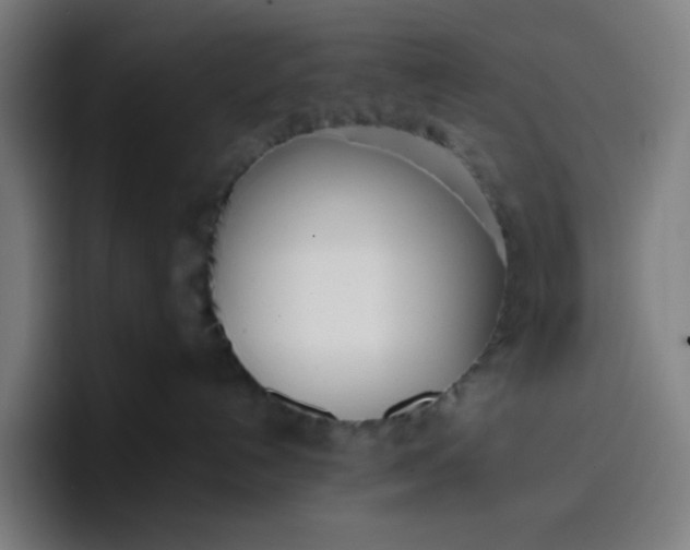 X0000096720192200802191536