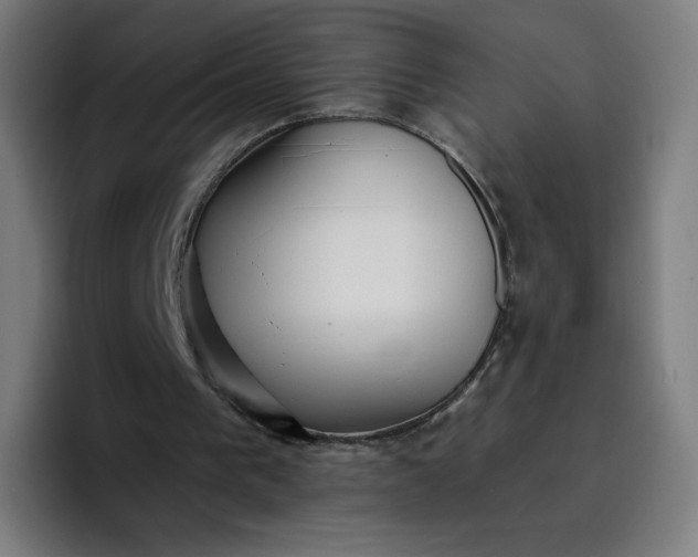 X0000096720193200802191535