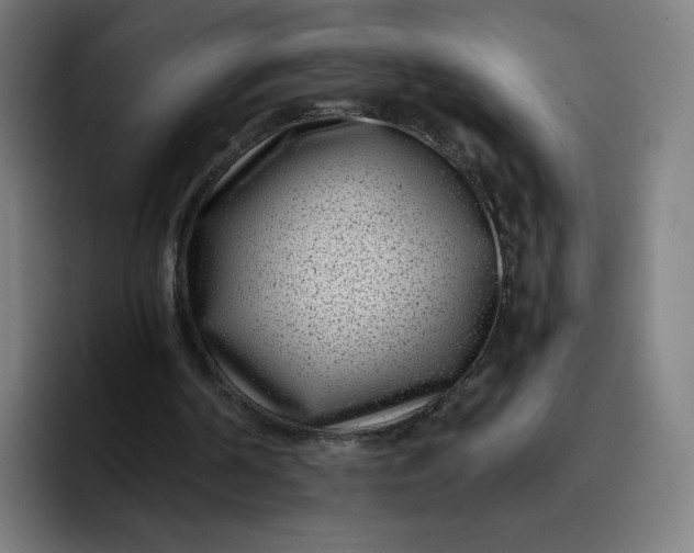 X0000096720194200802191535