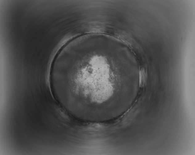 X0000096720195200802191535