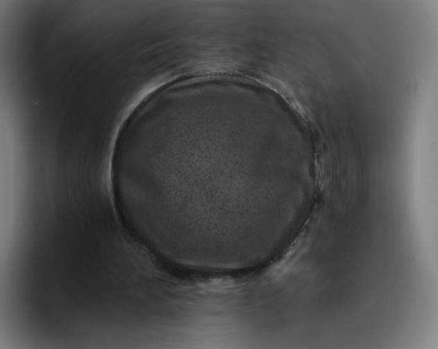 X0000096720196200802191535