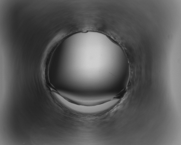 X0000096720197200802191535