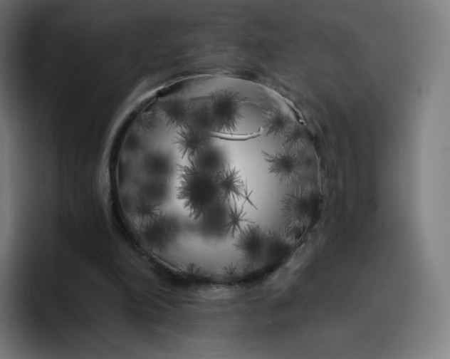 X0000096720198200802191535