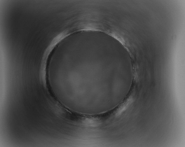 X0000096720199200802191535