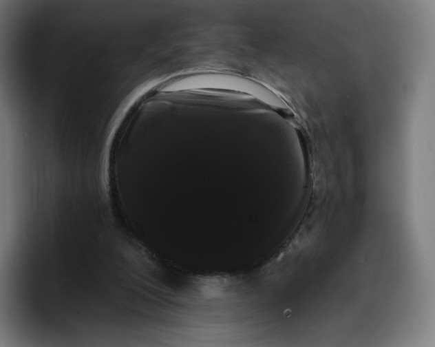 X0000096720200200802191535