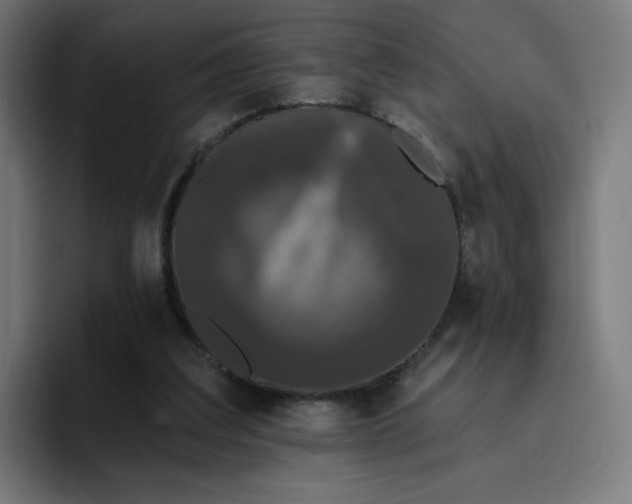 X0000096720203200802191535