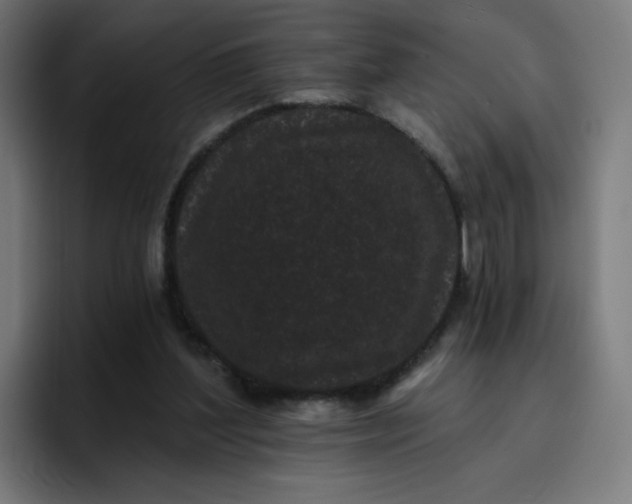 X0000096720204200802191535