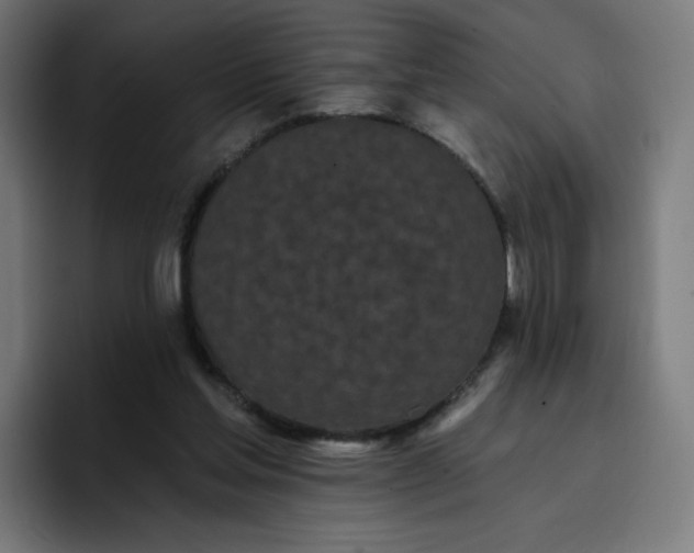 X0000096720205200802191535