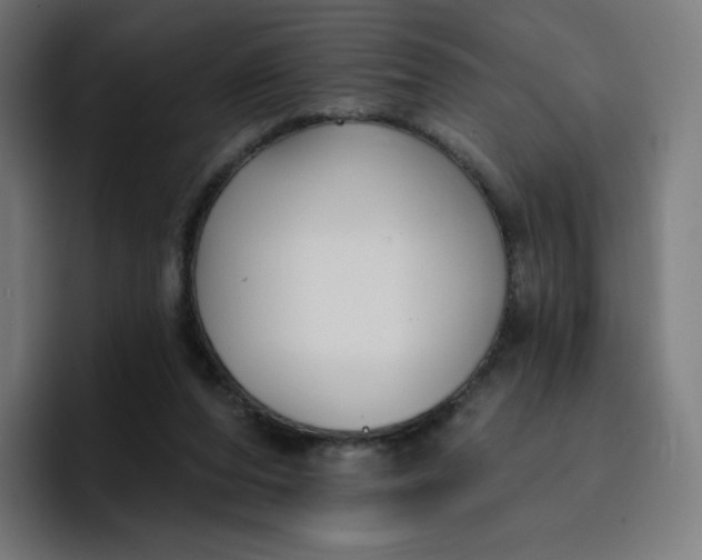 X0000096720208200802191535