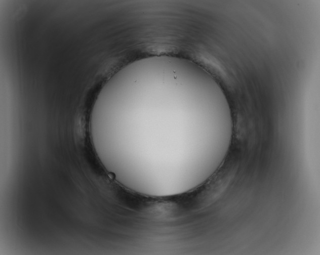 X0000096720210200802191535