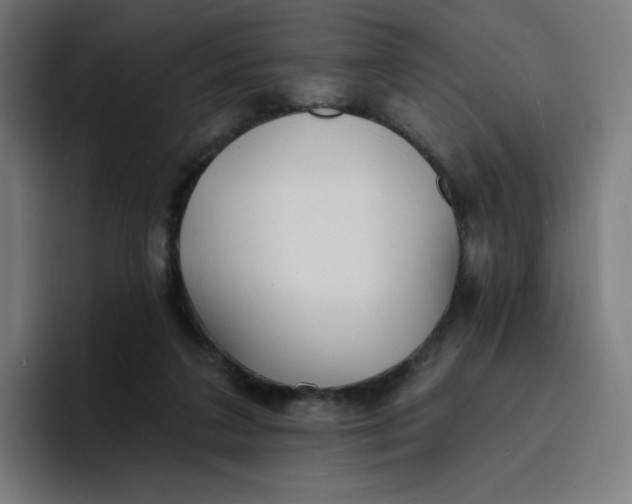 X0000096720211200802191535