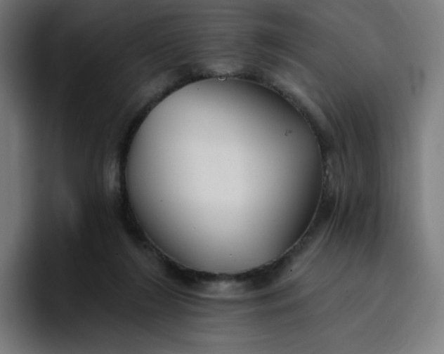 X0000096720212200802191535