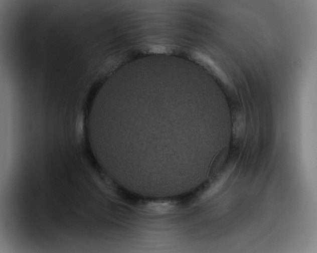 X0000096720213200802191535