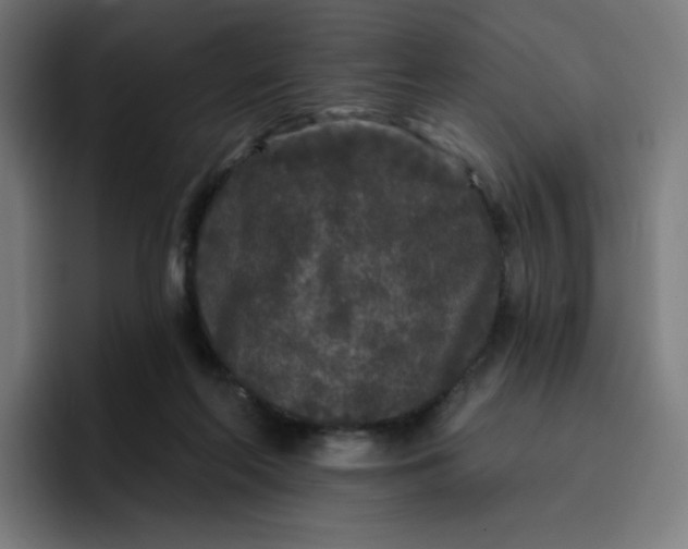 X0000096720214200802191535