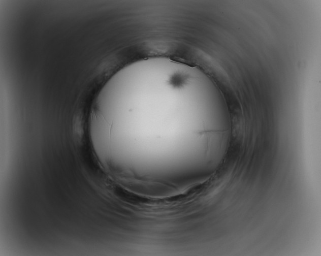 X0000096720215200802191535