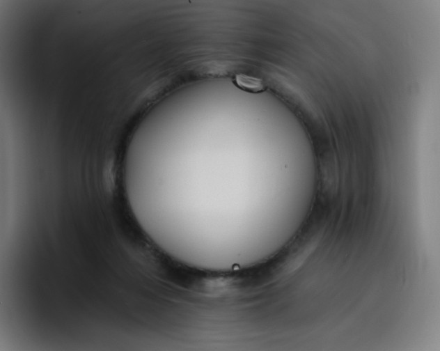 X0000096720216200802191535