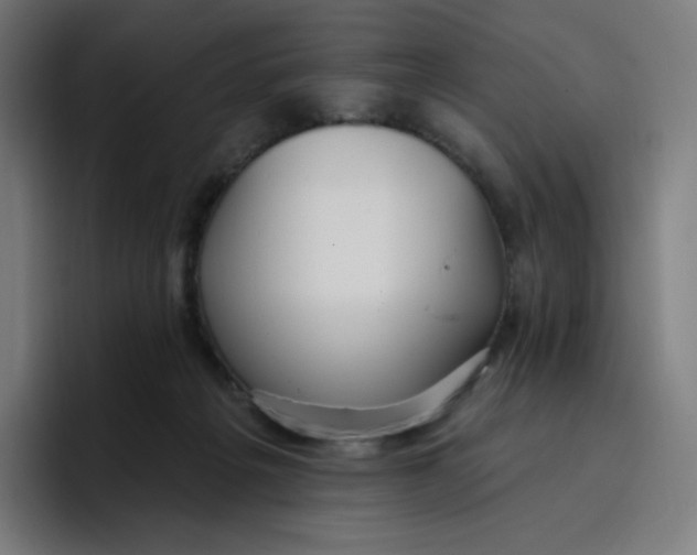 X0000096720217200802191535