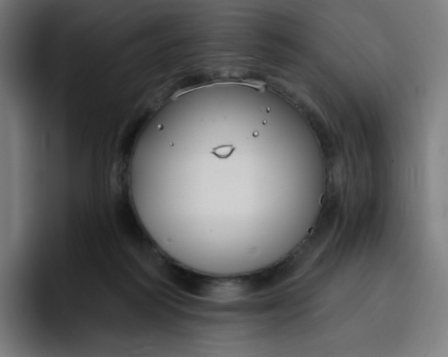 X0000096720218200802191535