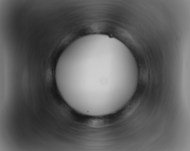 X0000096720220200802191535