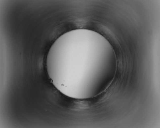 X0000096720221200802191535