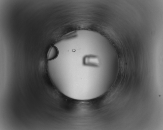 X0000096720222200802191535