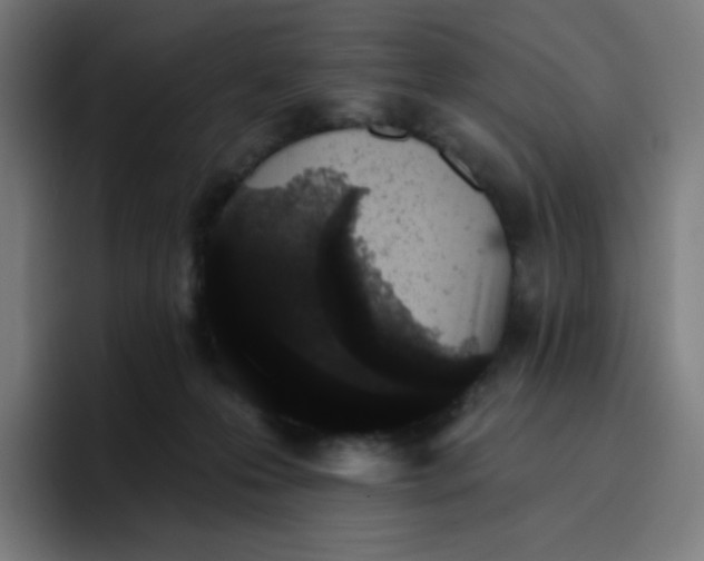 X0000096720223200802191535