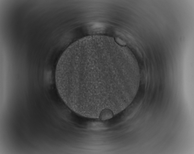 X0000096720224200802191535