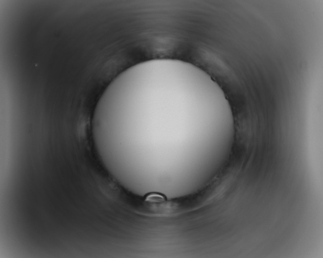 X0000096720225200802191535