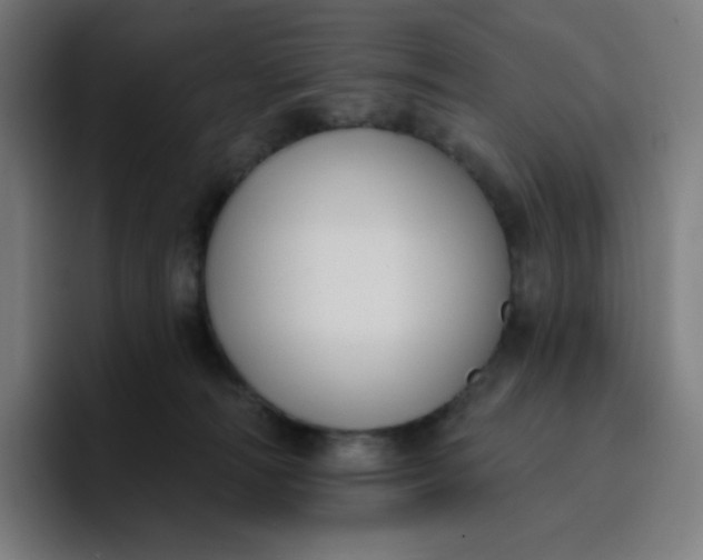 X0000096720226200802191535