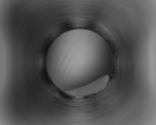 X0000096720227200802191535