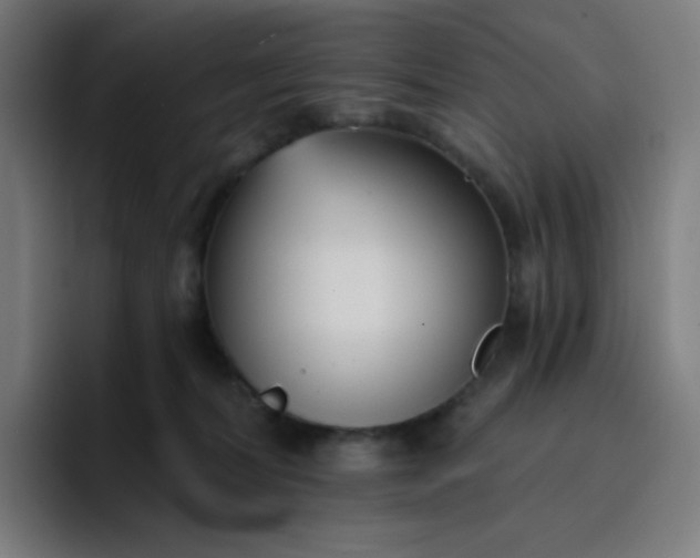 X0000096720228200802191535