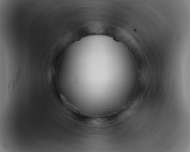 X0000096720229200802191535