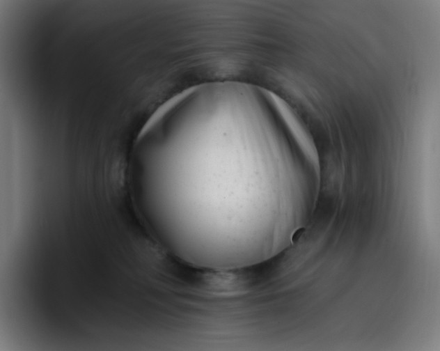 X0000096720230200802191535