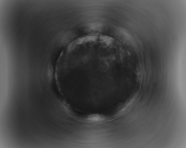 X0000096720231200802191534