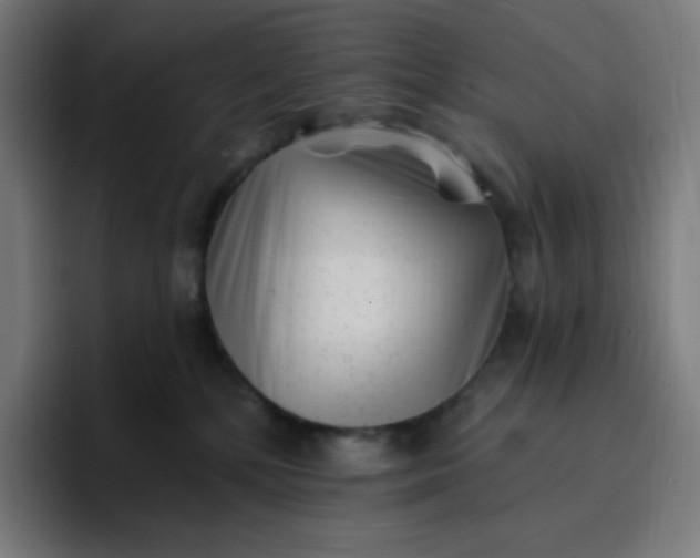 X0000096720232200802191534