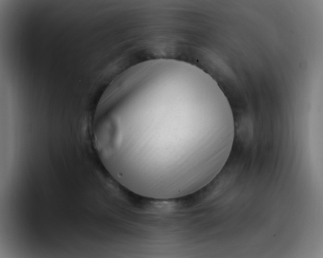 X0000096720233200802191534