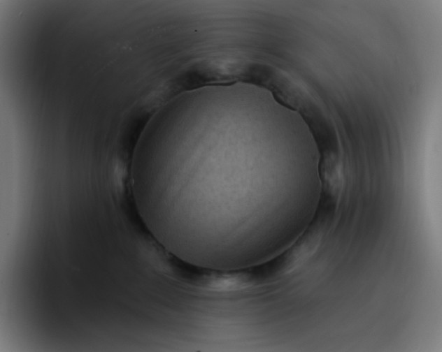 X0000096720235200802191534