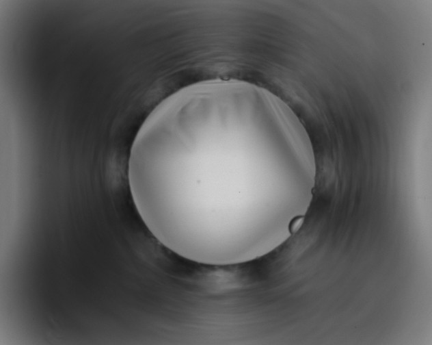 X0000096720236200802191534