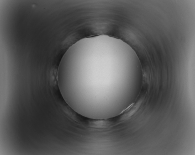 X0000096720237200802191534