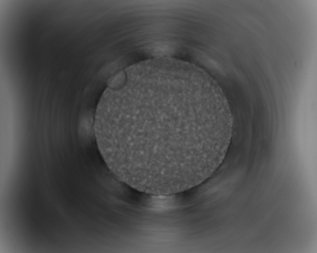 X0000096720240200802191534