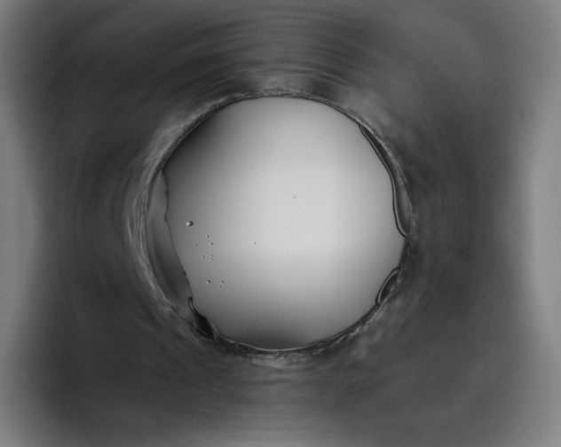 X0000096720241200802191534