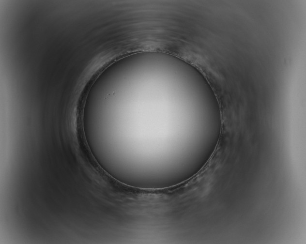 X0000096720242200802191534