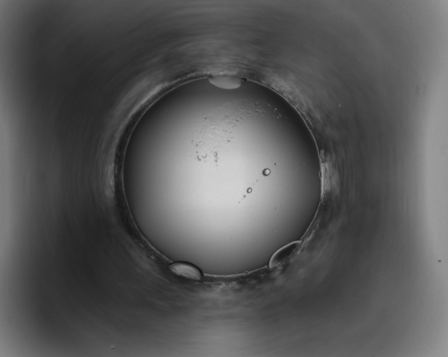 X0000096720243200802191534