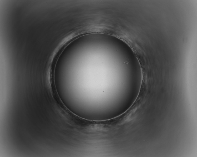 X0000096720244200802191534