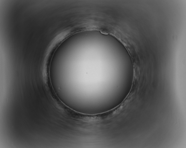 X0000096720245200802191534