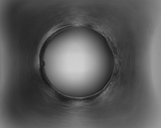 X0000096720246200802191534