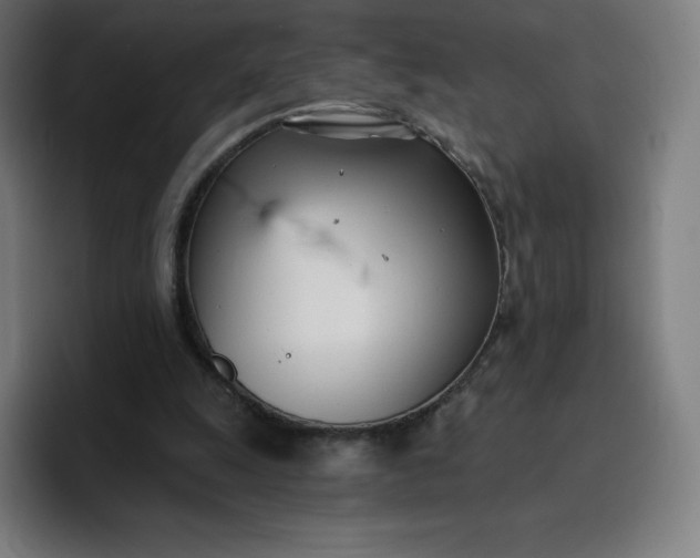 X0000096720247200802191534