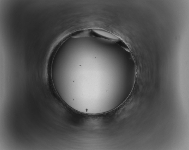 X0000096720248200802191534